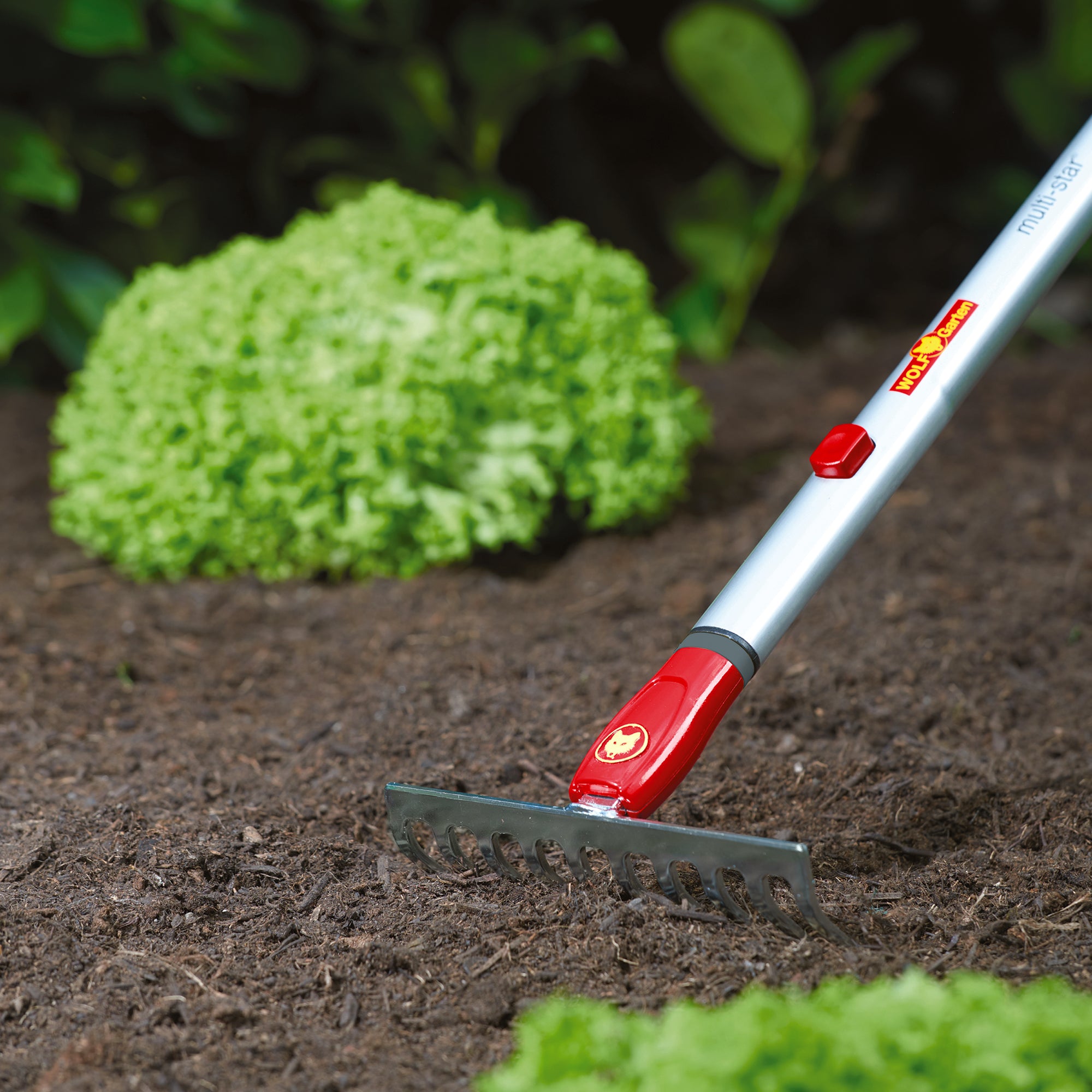 Grey Rakes Multi-Change® Close Toothed Rake (19cm) – WOLF-Garten