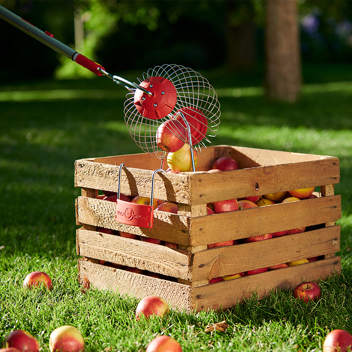 Multi-Change® Fruit Collector
