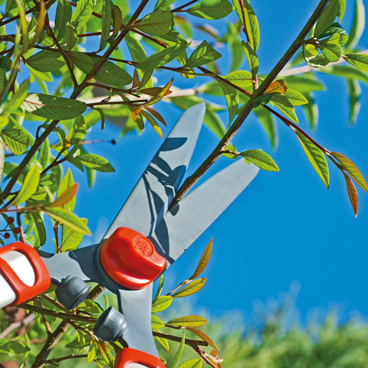 Telescopic Hedge Shears (700-1000mm)