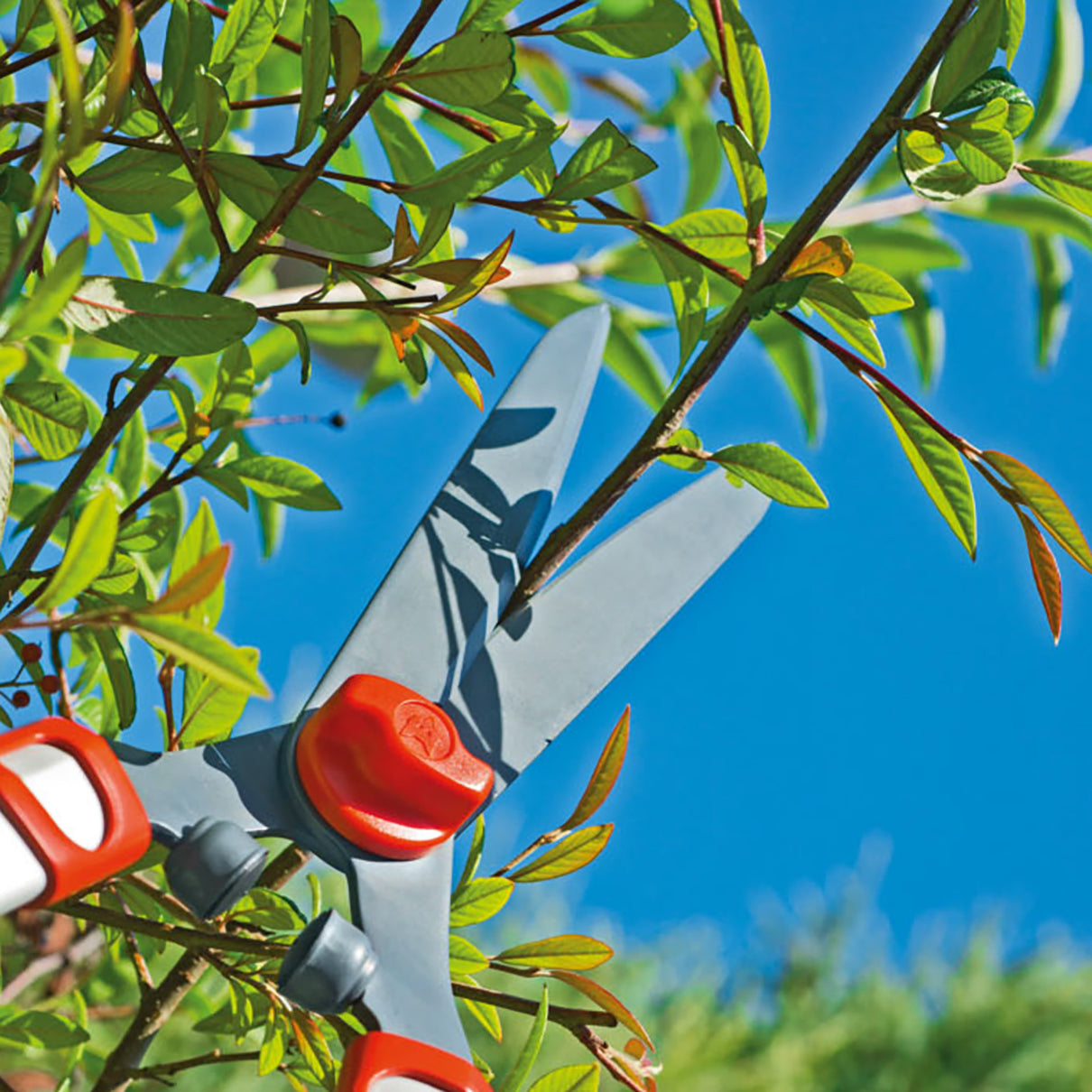 Telescopic Hedge Shears (700-1000mm)