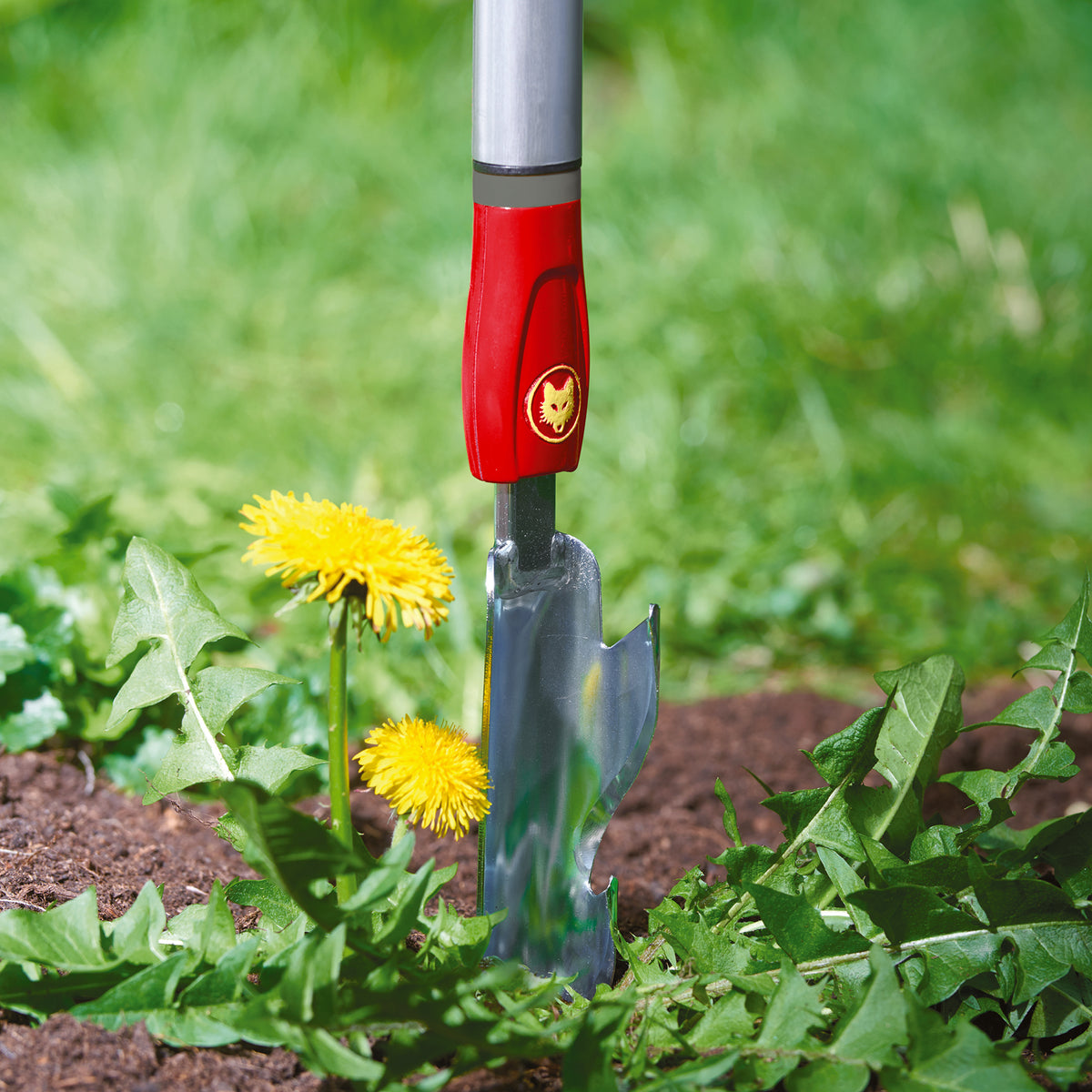 Multi-Change® Weed Extractor