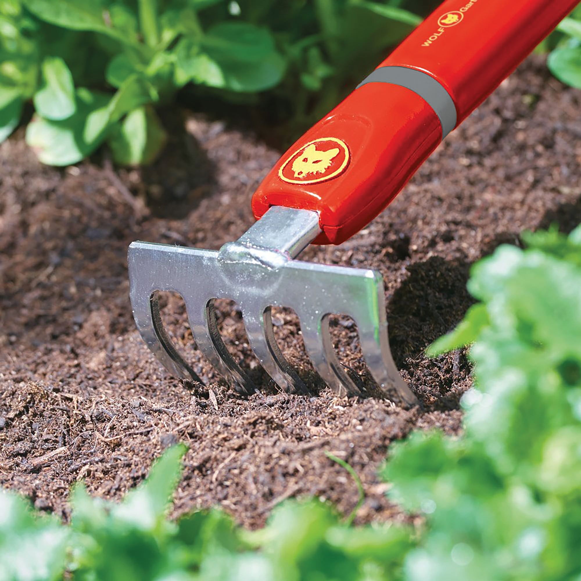 Grey Rakes Multi-Change® Small Rake (8cm) – WOLF-Garten