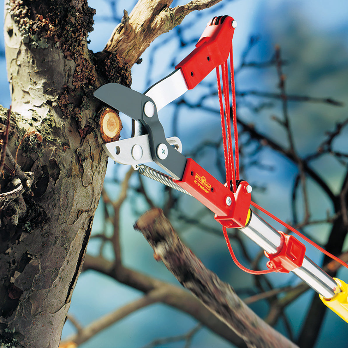 Multi-Change® Anvil Tree Lopper