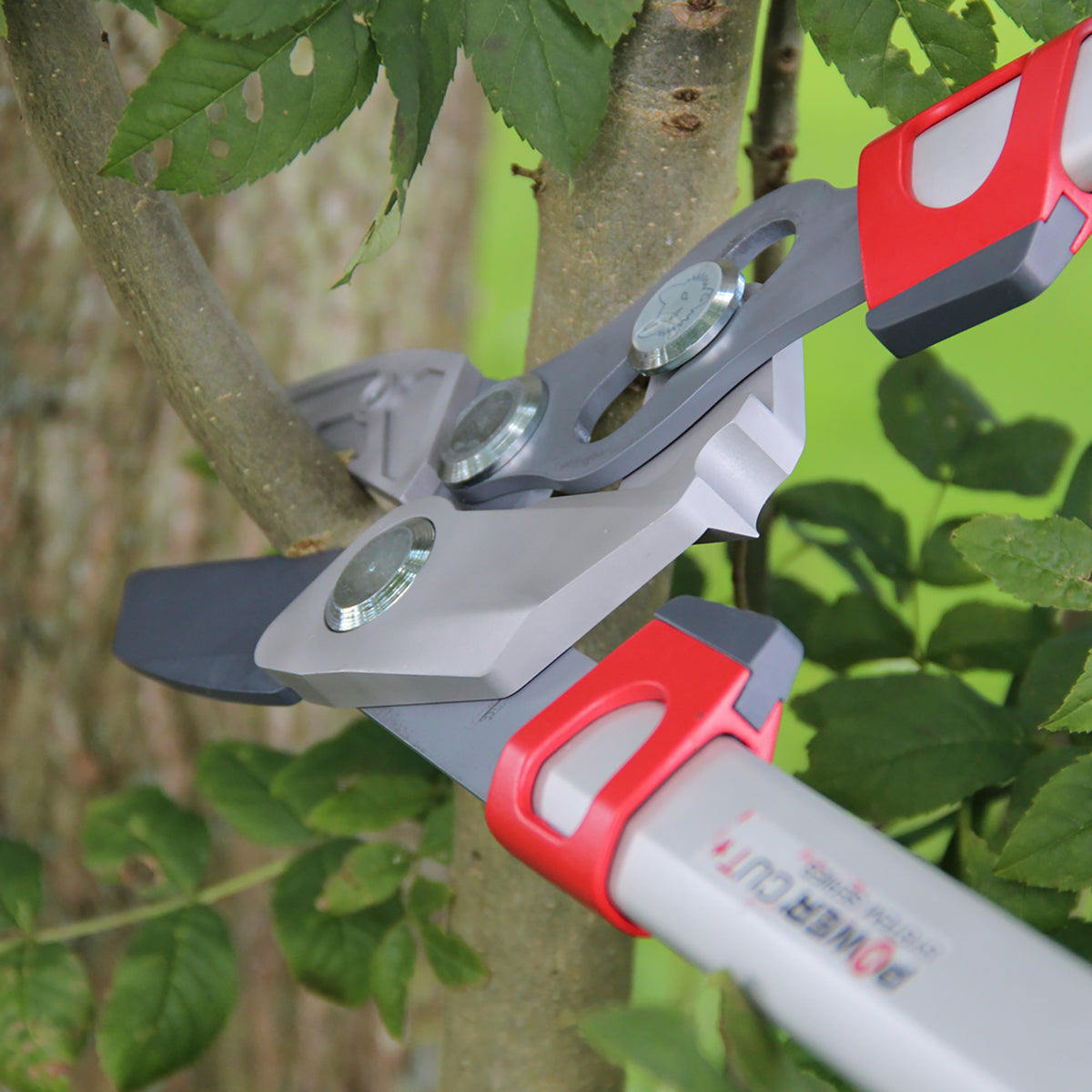 RS650 Power Cut Anvil Lopper (2x Power)
