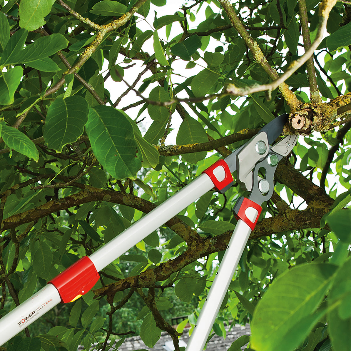 RS900T Telescopic Power Cut Anvil Lopper (4x Power)
