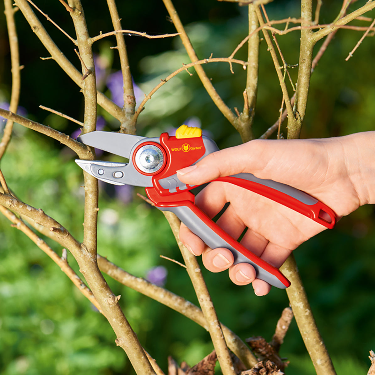 RS4000 Premium Plus Anvil Secateurs