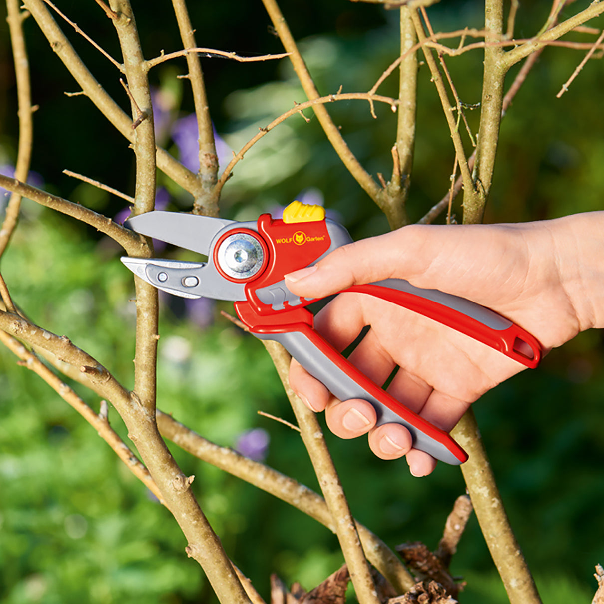 RS4000 Premium Plus Anvil Secateurs