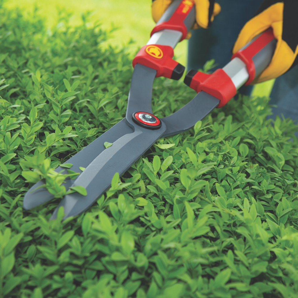 Traditional Hedge Shears