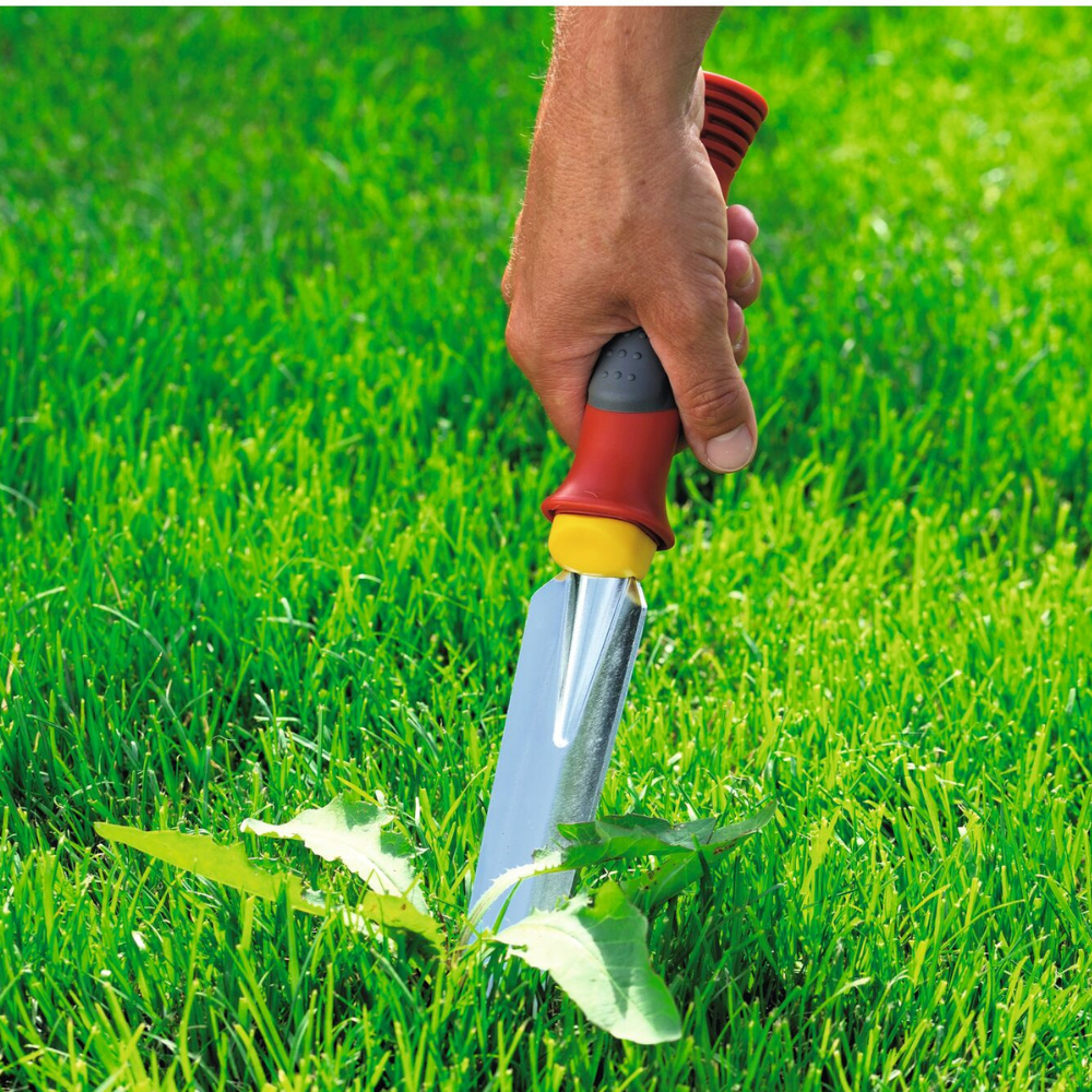 Weeding & Planting Knife with Fixed Handle