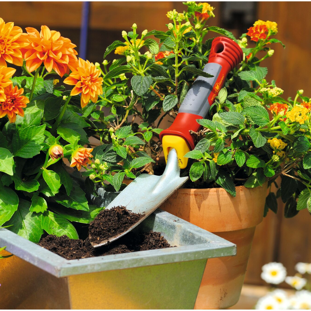 Narrow Planting Trowel (5cm)